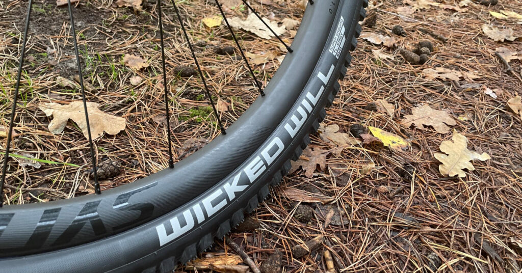 Schwalbe Wicked Will review
